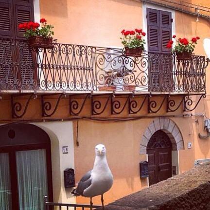 L'Appogghju Bed and Breakfast Castelsardo Εξωτερικό φωτογραφία